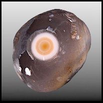 Leucopthalmos - Eye agate - глазковый агат